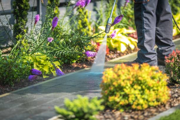 Best Spring Cleaning  in Hanley Hills, MO