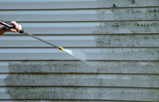Best Fence Cleaning  in Hanley Hills, MO